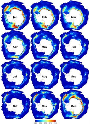 Dynamic Species Distribution Models in the Marine Realm: Predicting Year-Round Habitat Suitability of Baleen Whales in the Southern Ocean